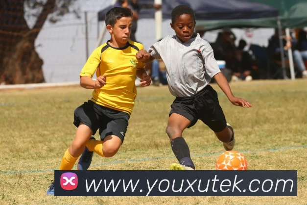 云开体育app下载安装最新版(中国)有限公司 - 官网服务体系